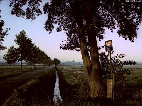 Landschap5