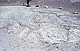 Krassen in de stenen al sgetuige van de gletsjer van het Columbia Icefield in de Rockys te Canada 1