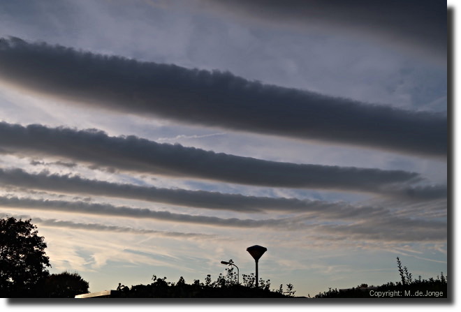 Undulatus 14 oktober 2018 Bennekom door Maria de Jonge