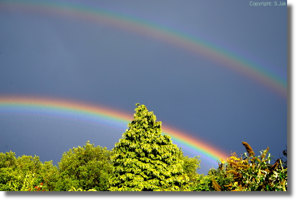 Regenboog Bennekom 