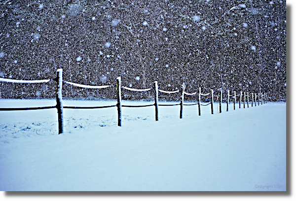 Foto van de
                      maand januari 2026