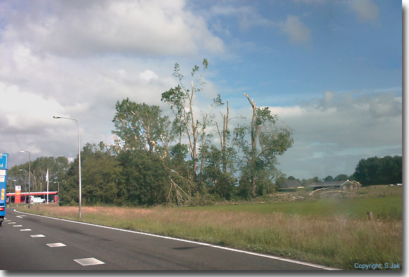 Afgerukte boomtoppen door het noodweer van 26 mei 2009 nabij Amersfoort, langs de A1