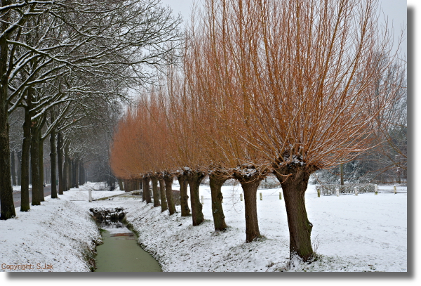 Maart2019 Kinderdorpterrein Bennekom met
                      Sneeuw, Bennekom