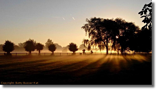 Prachtige morgen te Ederveen, september 2016, foto : Betty Busser-Kat