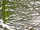 sneeuw 3feb 2012 Bennekom