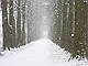 sneeuw 3feb 2012 Bennekom