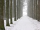 sneeuw 3feb 2012 Bennekom
