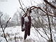 sneeuw 3feb 2012 Bennekom