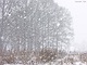 sneeuw 3feb 2012 Bennekom