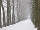 sneeuw 3feb 2012 Bennekom