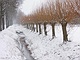 sneeuw 3feb 2012 Bennekom