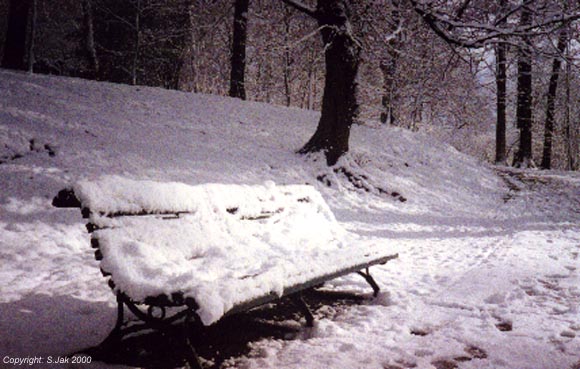 SnowSonsbeek10feb19991.JPG (59660 bytes)