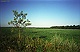 Sproeien bij de droogte in de hete zomer van 2003 in de velden tussen Renkum en Wolfheze 1