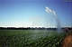 Sproeien bij de droogte in de hete zomer van 2003 in de velden tussen Renkum en Wolfheze 3