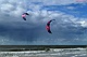 Weer op de
                            wadden