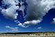 Weer op de
                            wadden