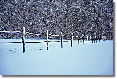 Januari 2026
Foto van de maand Januari 2026. Eindelijk weer eens een flinke hoeveelheid sneeuw!
Keywords: Sneeuw, Bennekom, Januari 2026