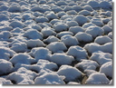 Filename=Januari2015.JPG
Filesize=172KiB
Dimensions=600x455
Date added=Jan 22, 2023 Januari2015.JPG