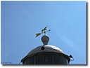 Filename=November2012.JPG
Filesize=111KiB
Dimensions=610x465
Date added=Jan 22, 2023 November2012.JPG