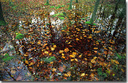 Filename=Oktober2009.jpg
Filesize=228KiB
Dimensions=590x386
Date added=Jan 22, 2023 Oktober2009.jpg