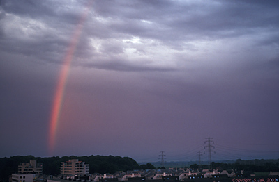 RodeRegenboog7juni973
Keywords: Regenboog