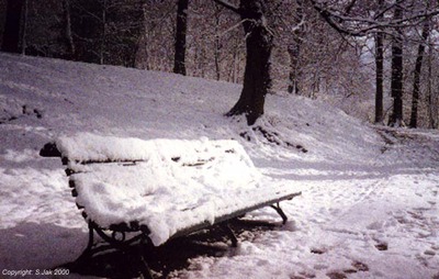 SnowSonsbeek10feb19991
Keywords: Sneeuw
