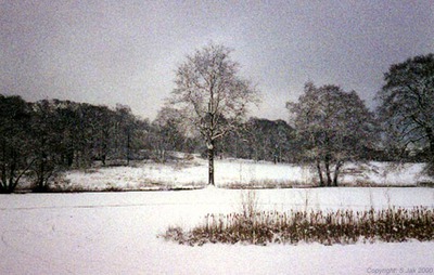 SnowSonsbeek10feb19993
Keywords: Sneeuw