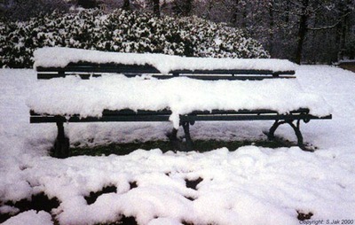 SnowSonsbeek10feb19998
Keywords: Sneeuw
