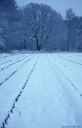 Filename=SneeuwJaarwisseling1.jpg
Filesize=32KiB
Dimensions=374x580
Date added=Jan 22, 2023 SneeuwJaarwisseling1.jpg
