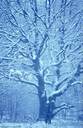 Filename=SneeuwJaarwisseling2.jpg
Filesize=46KiB
Dimensions=378x580
Date added=Jan 22, 2023 SneeuwJaarwisseling2.jpg