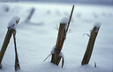 Filename=Sneeuwjaarwisseling11.jpg
Filesize=38KiB
Dimensions=580x374
Date added=Jan 22, 2023 Sneeuwjaarwisseling11.jpg