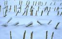 Filename=Sneeuwjaarwisseling12.jpg
Filesize=37KiB
Dimensions=580x373
Date added=Jan 22, 2023 Sneeuwjaarwisseling12.jpg