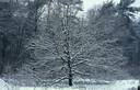 Filename=Sneeuwjaarwisseling14.jpg
Filesize=56KiB
Dimensions=580x374
Date added=Jan 22, 2023 Sneeuwjaarwisseling14.jpg