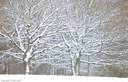 Filename=Sneeuwjaarwisseling18.jpg
Filesize=48KiB
Dimensions=580x376
Date added=Jan 22, 2023 Sneeuwjaarwisseling18.jpg