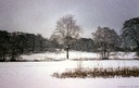 Filename=SnowSonsbeek10feb19993.JPG
Filesize=58KiB
Dimensions=580x369
Date added=Jan 22, 2023 SnowSonsbeek10feb19993.JPG