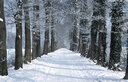 Filename=ijsensneeuw4maart20054.jpg
Filesize=88KiB
Dimensions=580x376
Date added=Jan 22, 2023 ijsensneeuw4maart20054.jpg