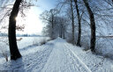 Filename=ijsensneeuw4maart20057.jpg
Filesize=90KiB
Dimensions=580x376
Date added=Jan 22, 2023 ijsensneeuw4maart20057.jpg