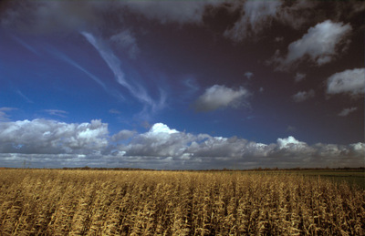 9Cumulus
Keywords: Mooie weerfoto's, Tentoonstelling