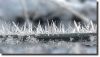 Bestandsnaam=Feb2017.jpg
Bestandsgrootte=140KiB
Afmetingen = 600x347
Datum toegevoegd = 07 feb 2017 Feb2017.jpg