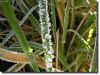 Bestandsnaam=Maart2015.JPG
Bestandsgrootte=186KiB
Afmetingen = 600x455
Datum toegevoegd = 08 feb 2017 Maart2015.JPG