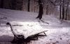 SnowSonsbeek10feb19991.JPG