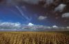 Bestandsnaam=9Cumulus.jpg
Bestandsgrootte=89KiB
Afmetingen = 600x389
Datum toegevoegd = 23 jan 2007 9Cumulus.jpg